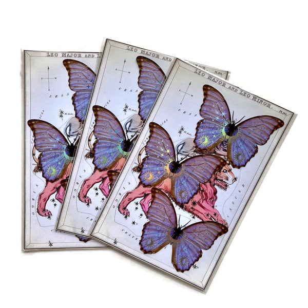 Moths Paper Ephemera