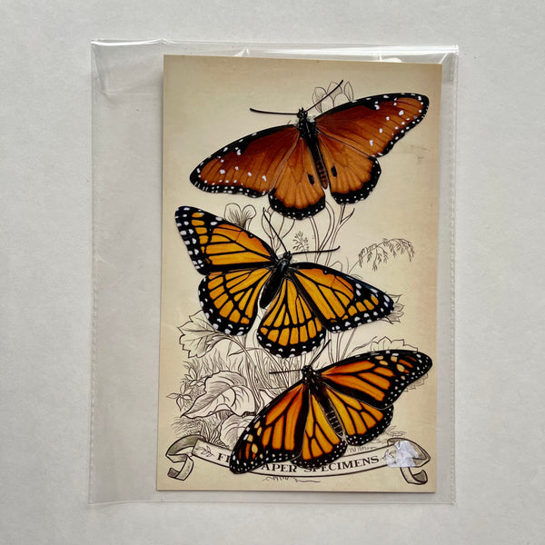 Butterflies Paper Ephemera