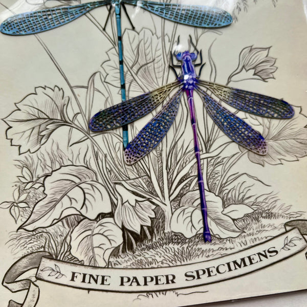 Dragonflies Paper Ephemera