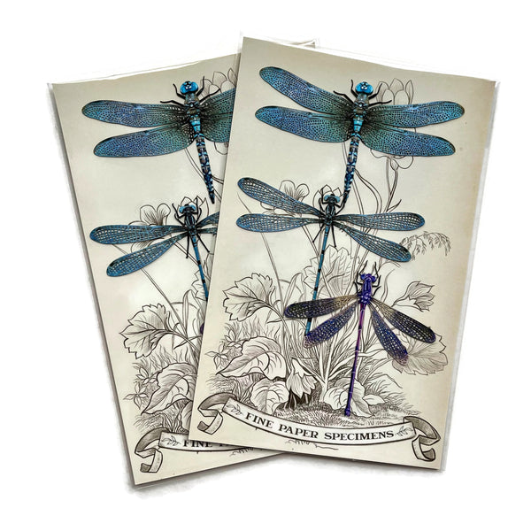 Dragonflies Paper Ephemera
