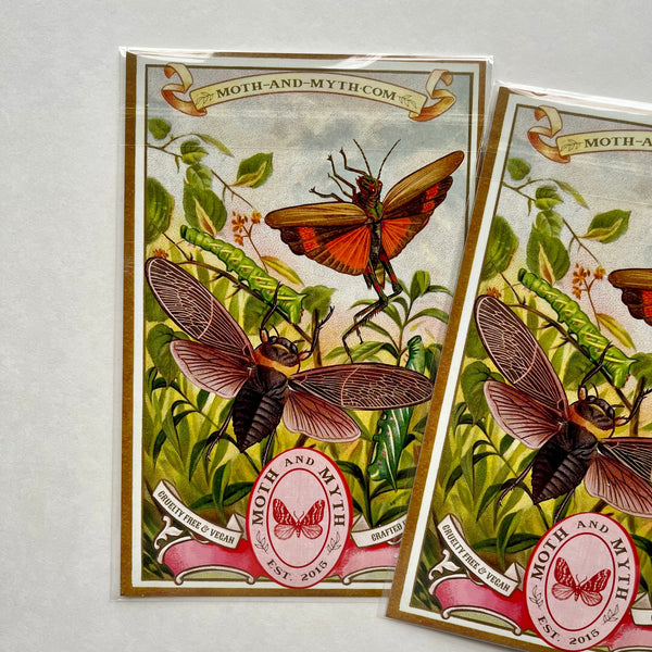 Dragonflies Paper Ephemera