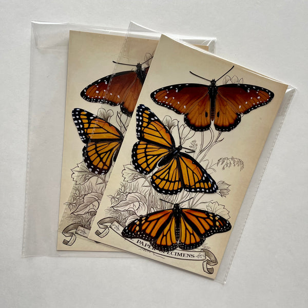 Butterflies Paper Ephemera
