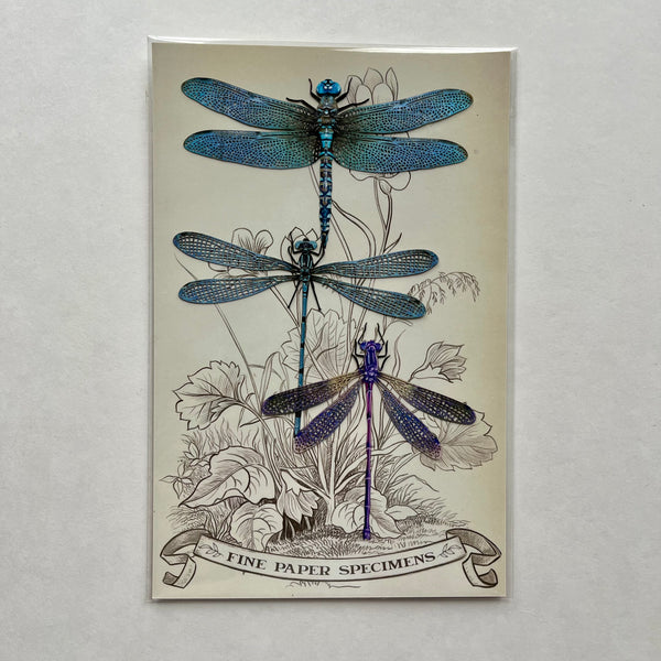 Dragonflies Paper Ephemera