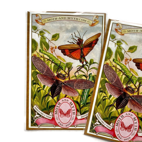 Dragonflies Paper Ephemera