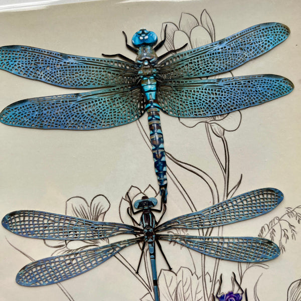 Dragonflies Paper Ephemera
