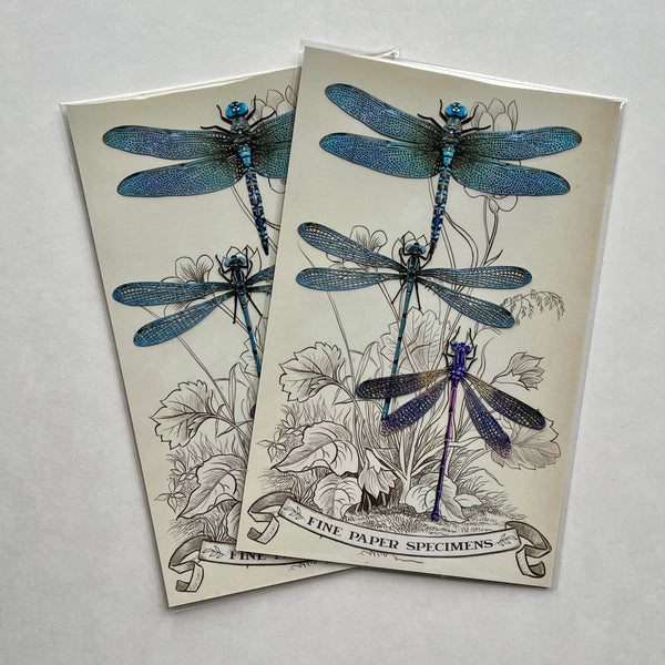 Dragonflies Paper Ephemera