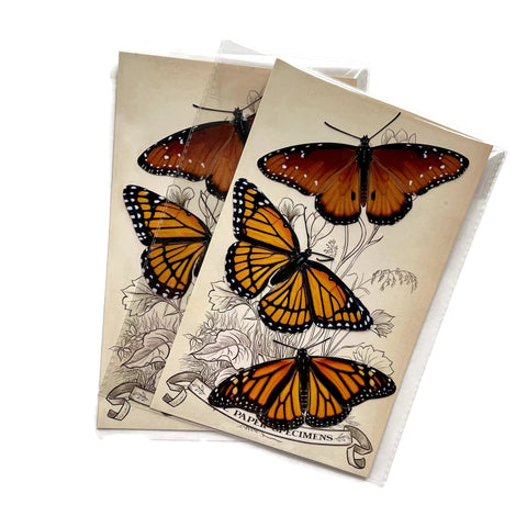 Butterflies Paper Ephemera