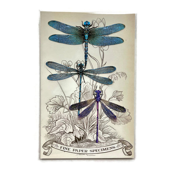 Dragonflies Paper Ephemera