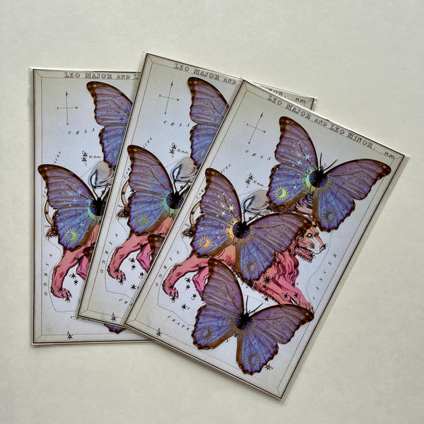 Moths Paper Ephemera
